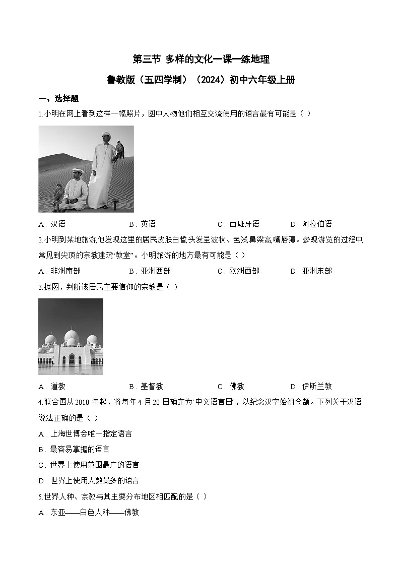 第三节 多样的文化一课一练地理鲁教版(五四学制)(2024)初中六年级上册(无答案)第1页