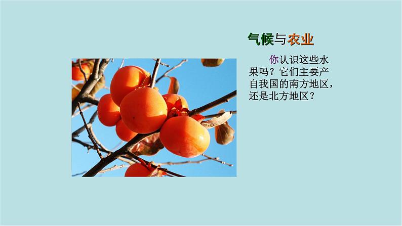 第二章_3_气候与人类活动_课件第5页