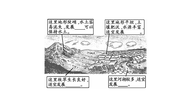 第1节 因地制宜发展农业第2课时第3页