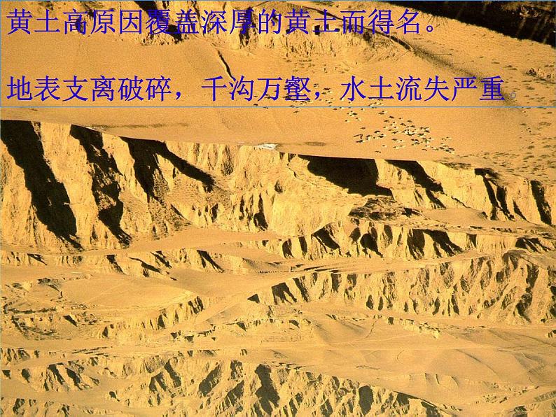 人教版2020-2021学年初中地理八年级下册第六章-北方地区第三节-世界最大的黄土堆积区――黄土高原课件第3页