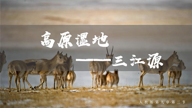 9.2 高原湿地——三江源 -2020-2021学年八年级地理下册同步课件(人教版)01