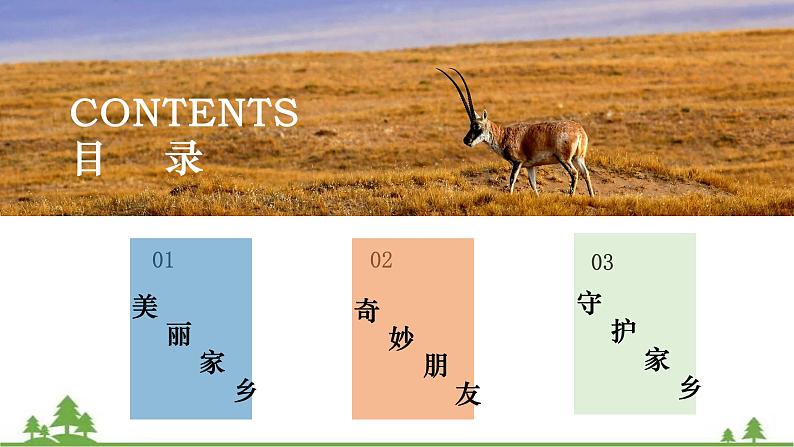 9.2 高原湿地——三江源 -2020-2021学年八年级地理下册同步课件(人教版)04
