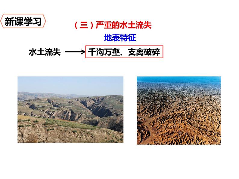 2020-2021学年八年级下册地理教学课件 第六章第三节 世界最大的黄土堆积区——黄土高原(第2课时)第3页
