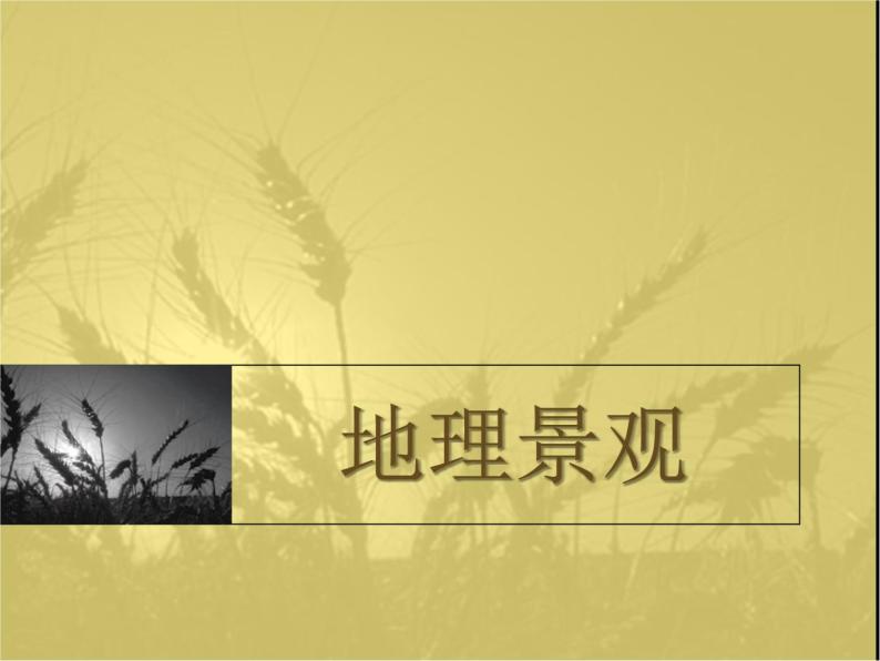 上海教育版地理六年级上册课件：第一单元第1节《地理景观》(共39张PPT)01