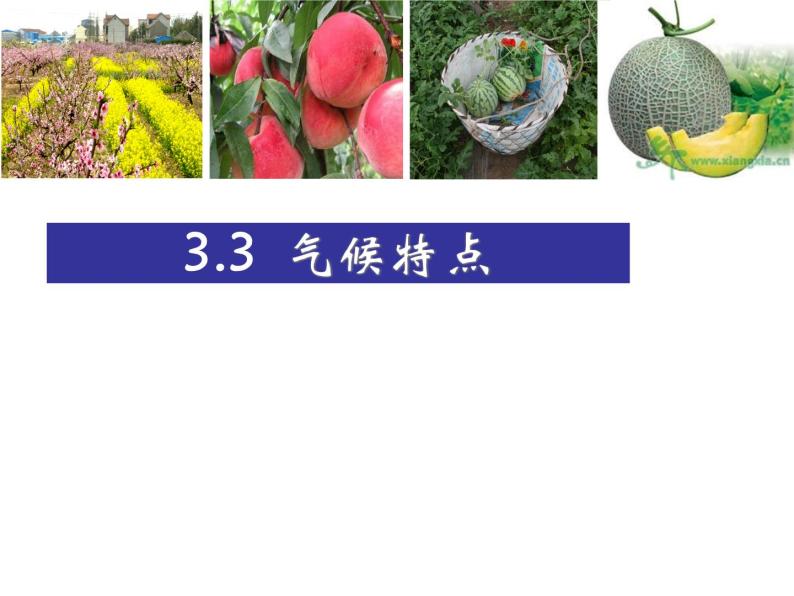 上海教育版地理七年级上册课件：第三单元3.3《气候特点》(共37张PPT)01