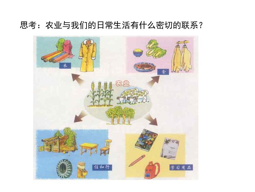 滬教版地理七年級下冊1.1 世界農(nóng)業(yè)大國(共38張PPT)第8頁