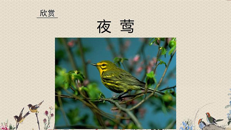 人教版八年级上册 电子空间站/选听《夜莺》 课件02