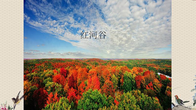 人教版八年级上册 环球之旅(三)非洲与美洲欣赏《探戈舞曲》课件第1页