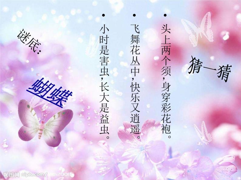 花城版音乐八下《蝴蝶》ppt课件01