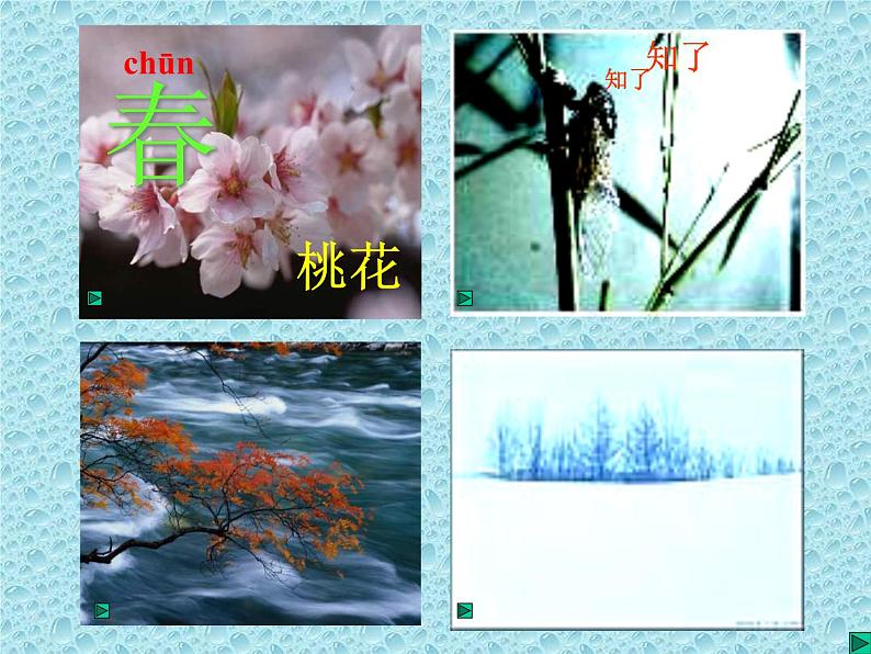花城版音乐七上《四季歌》ppt第5页