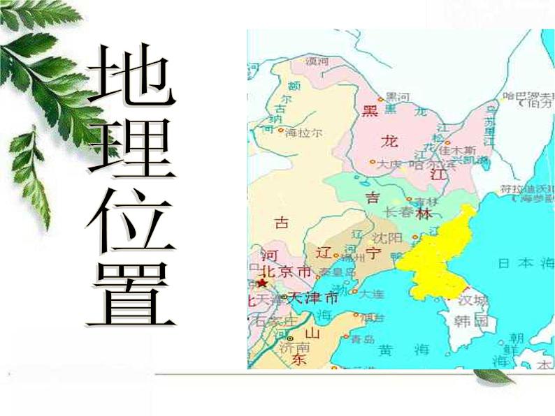 人教版七年级音乐上册 第五单元 《阿里郎》课件03