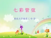 七年级上册  第六单元  七彩的管弦课件PPT