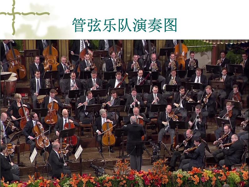 七年级上册 第六单元 七彩的管弦课件PPT03
