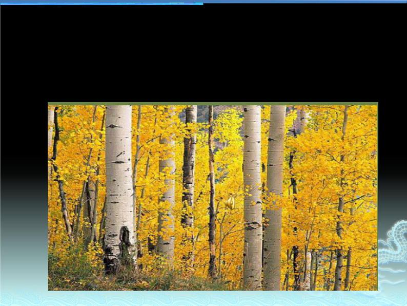 《田野静悄悄》课件第2页