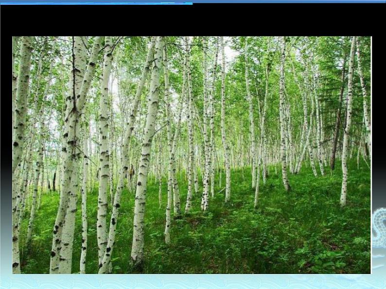 《田野静悄悄》课件第4页