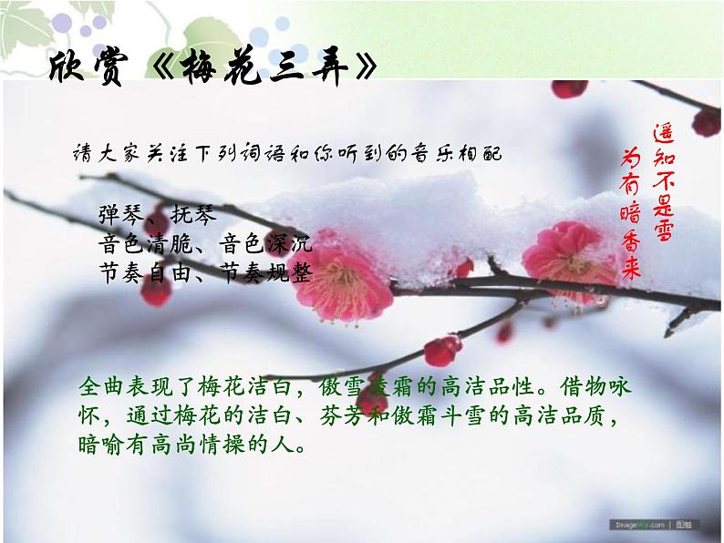 梅花三弄 课件第8页