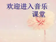 初中音乐-《蝴蝶飞呀》课件-(2)PPT课件