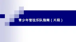 湘教版 七年级下册音乐 第2单元 青少年管弦乐队指南   野蜂飞舞　 课件 (共21张PPT）