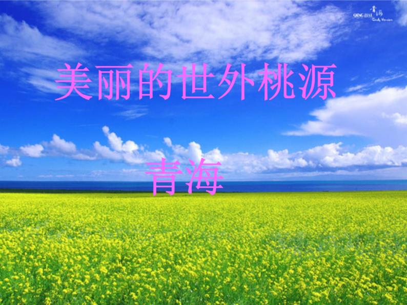 初中音乐人音版 八年级下册 花儿与少年2课件02