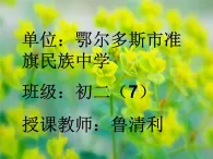 初中音乐人音版 八年级下册 花儿与少年1课件