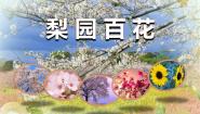 湘艺版八年级上册第五单元 梨园百花（二）对花图片ppt课件
