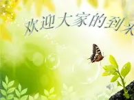 初中音乐 人教2011课标版（简谱） 八年级上册 红河谷  (1) 课件