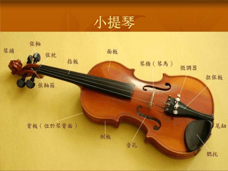 花城版七年级下册音乐课件 4.西洋管弦乐队简介06