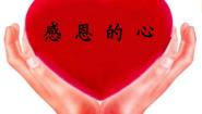 2020-2021学年感恩的心 爱的奉献多媒体教学ppt课件