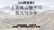 初中音乐人音版八年级下册花儿与少年图片ppt课件