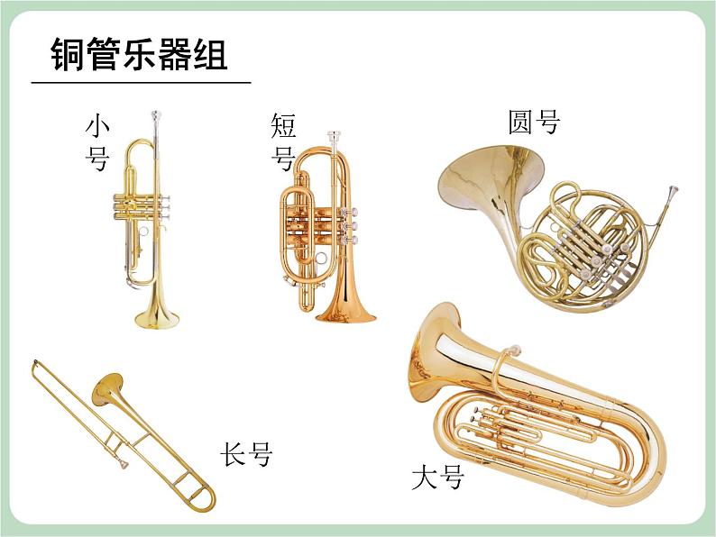 人教版7上音乐 6.2 查尔达什舞曲 课件08