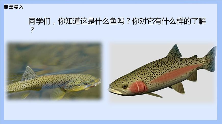 【核心素養(yǎng)目標(biāo)】人音版音樂八下2.3 鱒魚 課件第5頁