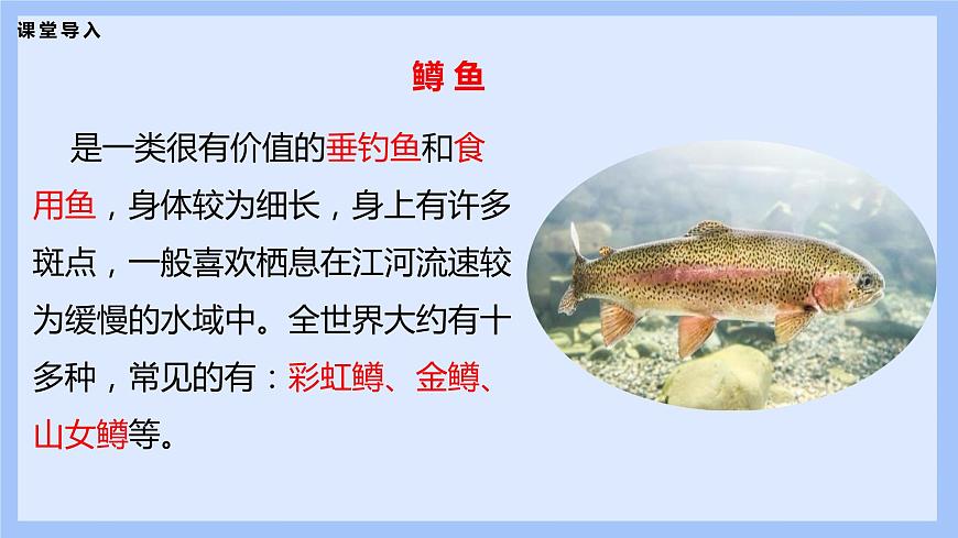 【核心素養(yǎng)目標(biāo)】人音版音樂八下2.3 鱒魚 課件第6頁