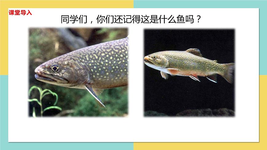 【核心素養(yǎng)目標(biāo)】人音版音樂(lè)八下2.4 A大調(diào)（鱒魚(yú)）鋼琴五重奏（第四樂(lè)章）課件第5頁(yè)