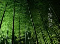 人音版初中音乐七年级下册 第二单元 影视金曲 《穿越竹林》课件1