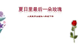 人教版音乐八年级下册 第六单元 夏日里最后一朵玫瑰课件