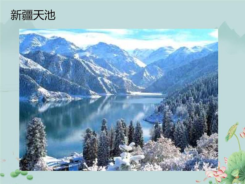 《青春舞曲》课件第4页