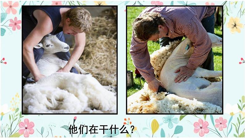 第五单元 环球之旅(二) 选唱 剪羊毛 课件 人教版 初中音乐七年级下册02