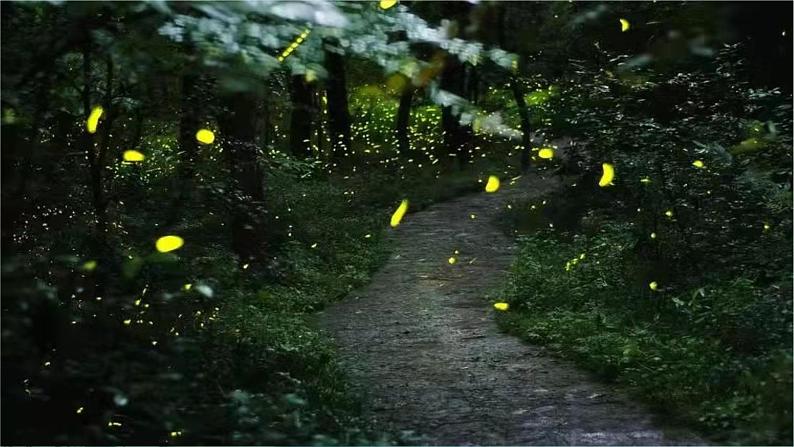第六单元 夏日情怀 —— 欣赏 夏夜 课件 人教版初中音乐八年级下册第7页