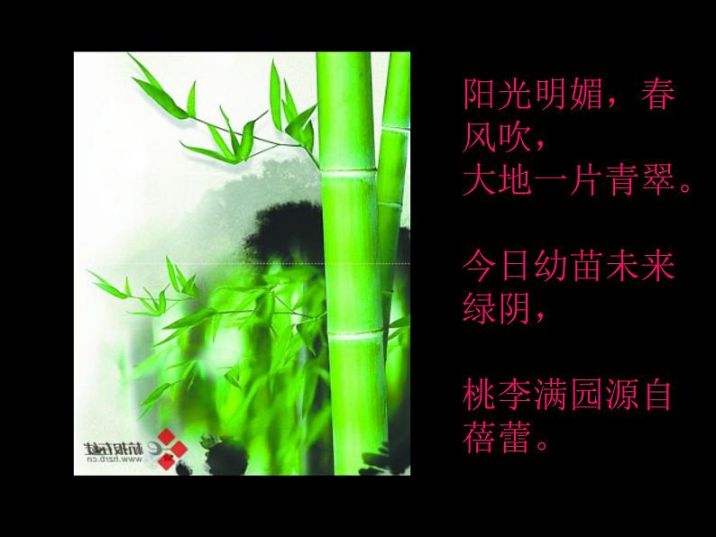 人教版七年级上册音乐第一单元蓓蕾之歌(课件)第6页