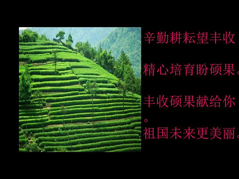 人教版七年级上册音乐第一单元蓓蕾之歌(课件)第8页
