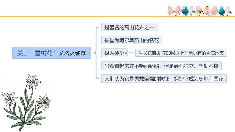 第二单元 多彩音乐剧《雪绒花》课件 2024—2025学年人音版初中音乐八年级上册第4页