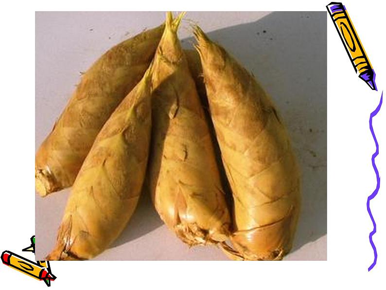 人美版美术九年级上册 《综合练习》课件03