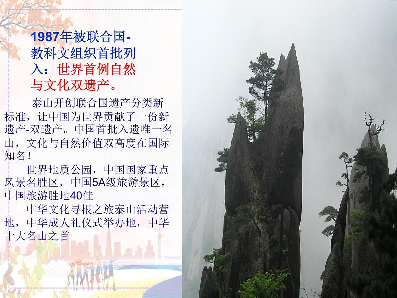 山东泰山第3页