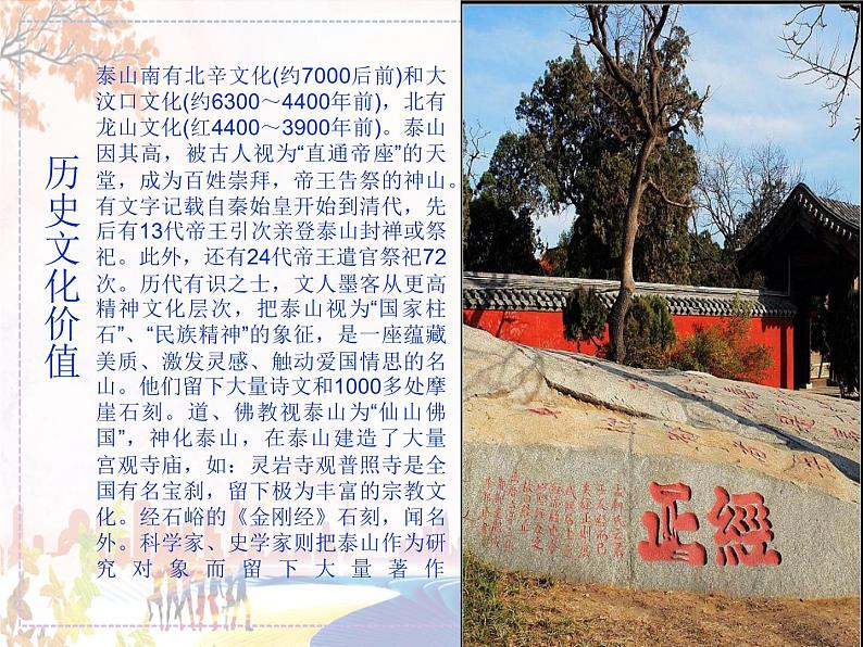 山东泰山第7页