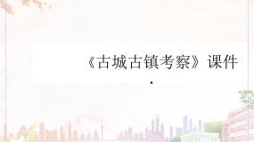 初中美术人教版九年级上册第1课 民间美术的主要种类评优课ppt课件