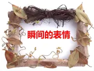 第7課 瞬間的表情 課件+教案-嶺美版八年級美術下冊
