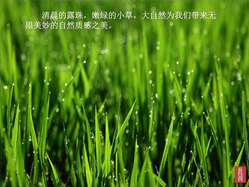 第三课 画家笔下的质感课件PPT第3页