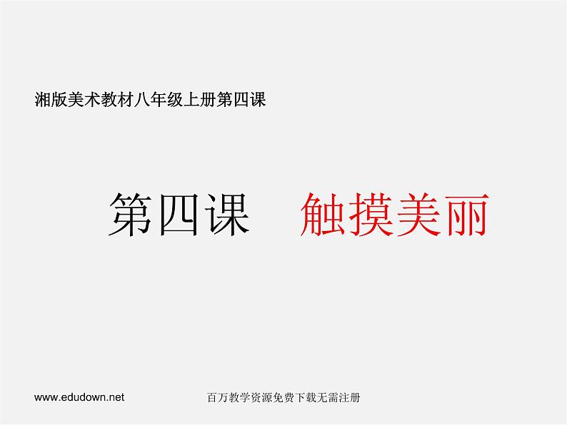 湘教版美术八上第四课《触摸美丽》ppt课件301