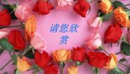 湘教版美术七上第五课《花圃》ppt课件1