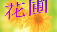 湘教版美术七上第五课《花圃》ppt课件3